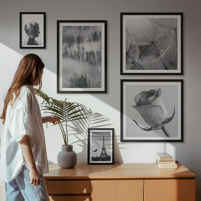 Billedsæt over sofa Sort og hvid naturby