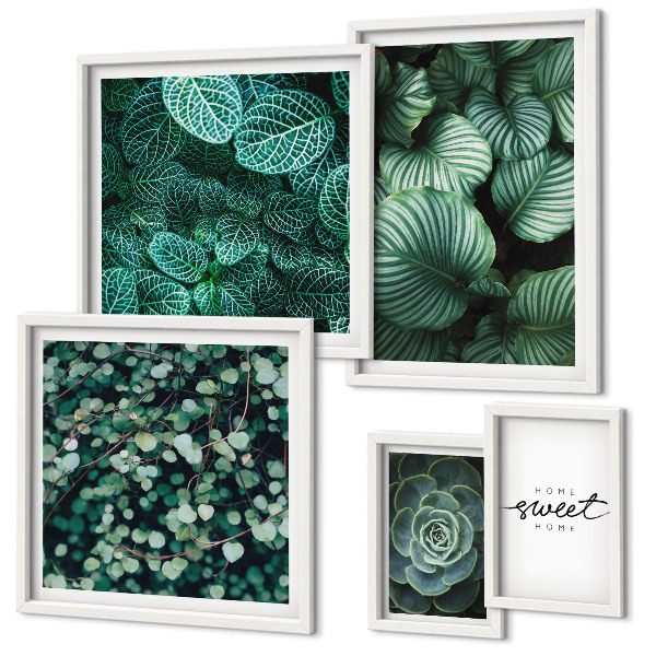 Billedkomposition til væg Grønne blade moderne planter