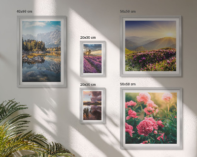Billedsæt over sofa Landskaber natur blomster bjerge