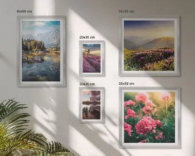 Billedsæt over sofa med motiver af landskaber, natur, blomster og bjerge