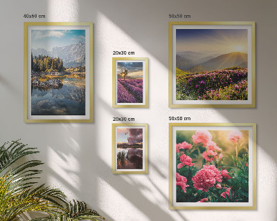 Billedsæt over sofa Landskaber natur blomster bjerge