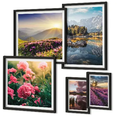 Billedsæt over sofa med motiver af landskaber, natur, blomster og bjerge