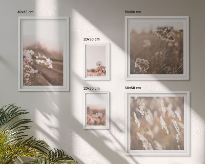 Billedsæt over sofa Blomstermotiver af delikat natur