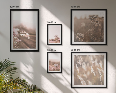 Billedsæt over sofa Blomstermotiver af delikat natur