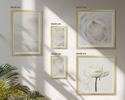 Billedsæt over sofa Blomsterinspirationer hvid