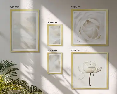 Billedsæt over sofa med blomsterinspirationer i hvid