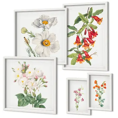 Blomsterbotaniske illustrationer billedsæt til oversiden af sofaen