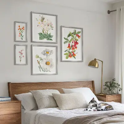 Blomsterbotaniske illustrationer billedsæt til oversiden af sofaen