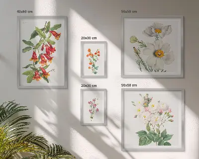 Blomsterbotaniske illustrationer billedsæt til oversiden af sofaen