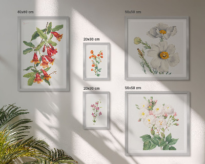 Billedsæt over sofa Blomsterbotaniske illustrationer