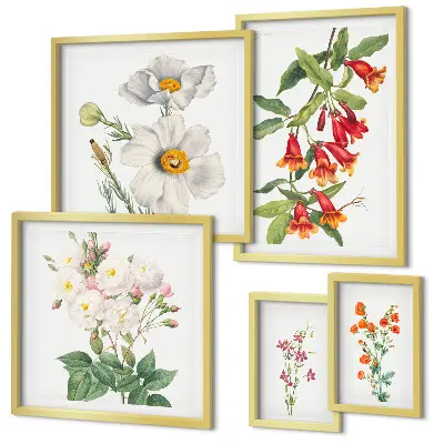 Blomsterbotaniske illustrationer billedsæt til oversiden af sofaen