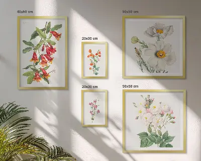 Blomsterbotaniske illustrationer billedsæt til oversiden af sofaen
