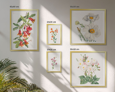 Billedsæt over sofa Blomsterbotaniske illustrationer