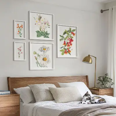 Blomsterbotaniske illustrationer billedsæt til oversiden af sofaen