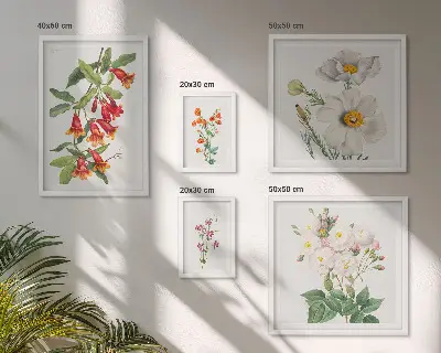 Blomsterbotaniske illustrationer billedsæt til oversiden af sofaen