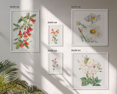 Billedsæt over sofa Blomsterbotaniske illustrationer