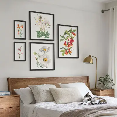 Blomsterbotaniske illustrationer billedsæt til oversiden af sofaen