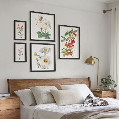 Billedsæt over sofa Blomsterbotaniske illustrationer
