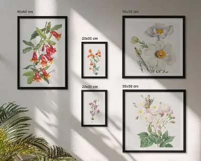 Blomsterbotaniske illustrationer billedsæt til oversiden af sofaen