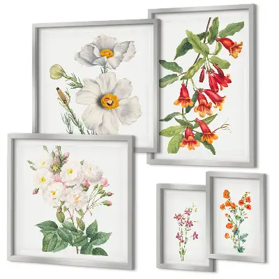Blomsterbotaniske illustrationer billedsæt til oversiden af sofaen