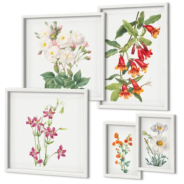 Billedkomposition til væg med blomstermotiver i botanisk stil