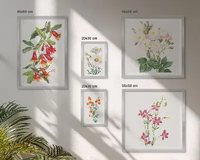 Billedkomposition til væg med blomstermotiver i botanisk stil