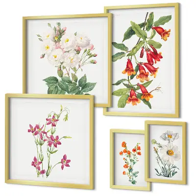 Billedkomposition til væg med blomstermotiver i botanisk stil