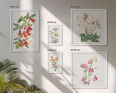 Billedkomposition til væg Blomstermotiver i botanisk stil