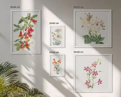 Billedkomposition til væg med blomstermotiver i botanisk stil
