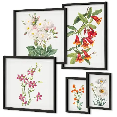 Billedkomposition til væg med blomstermotiver i botanisk stil