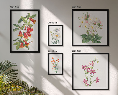 Billedkomposition til væg Blomstermotiver i botanisk stil