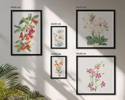 Billedkomposition til væg med blomstermotiver i botanisk stil