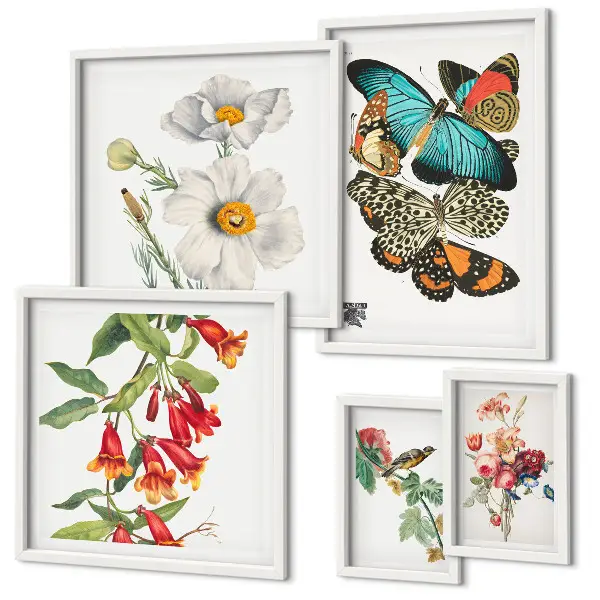 Billedsæt over sofa vintage dekorationer med blomster, sommerfugle og fugle