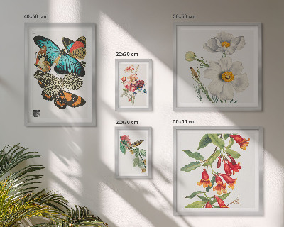 Billedsæt over sofa Blomster sommerfugle fugle vintage dekorationer