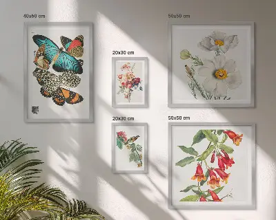 Billedsæt over sofa vintage dekorationer med blomster, sommerfugle og fugle