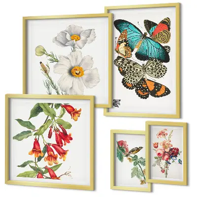 Billedsæt over sofa vintage dekorationer med blomster, sommerfugle og fugle