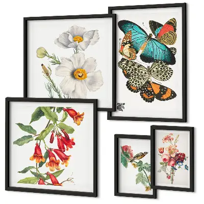 Billedsæt over sofa vintage dekorationer med blomster, sommerfugle og fugle