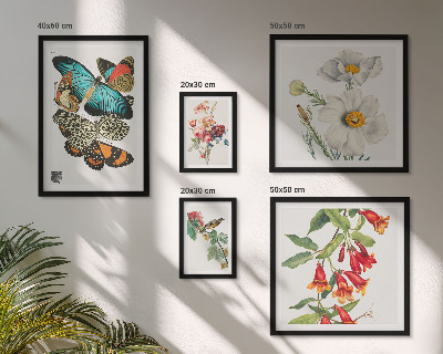 Billedsæt over sofa Blomster sommerfugle fugle vintage dekorationer