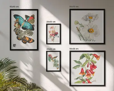 Billedsæt over sofa vintage dekorationer med blomster, sommerfugle og fugle