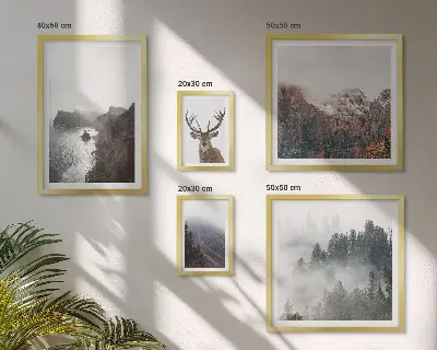 Billedsæt med dyrelivslandskaber til ophængning over sofaen