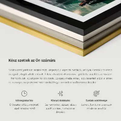Billedsæt med dyrelivslandskaber til ophængning over sofaen