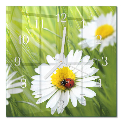 Firkantet vægur Tusindfryd