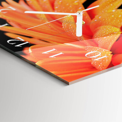 Firkantet vægur Gerbera