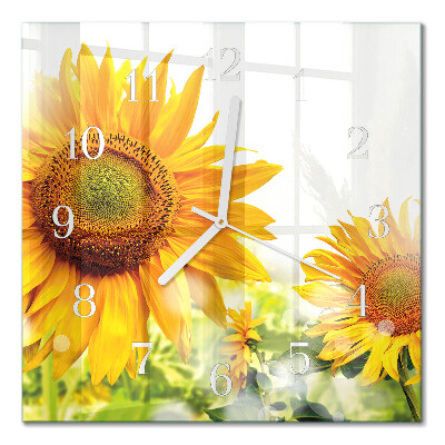 Glas ur Solsikke