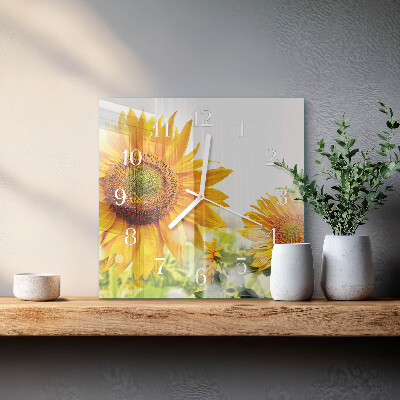 Glas ur Solsikke