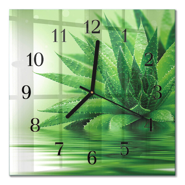 Glas vægur Aloe