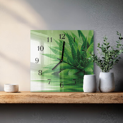 Glas vægur Aloe