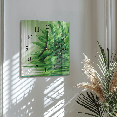 Glas vægur Aloe