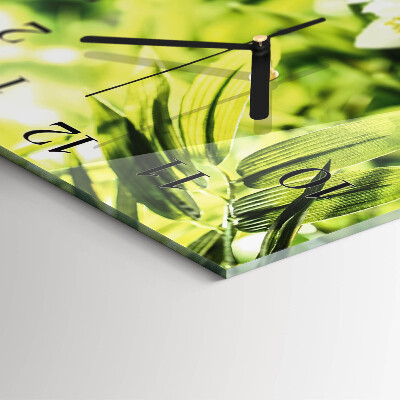 Glas vægur Natur