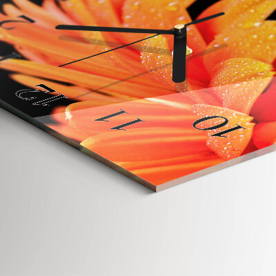 Glas vægur Gerbera